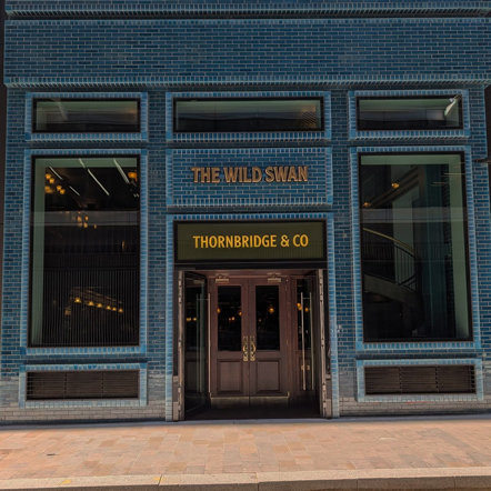 The Wild Swan